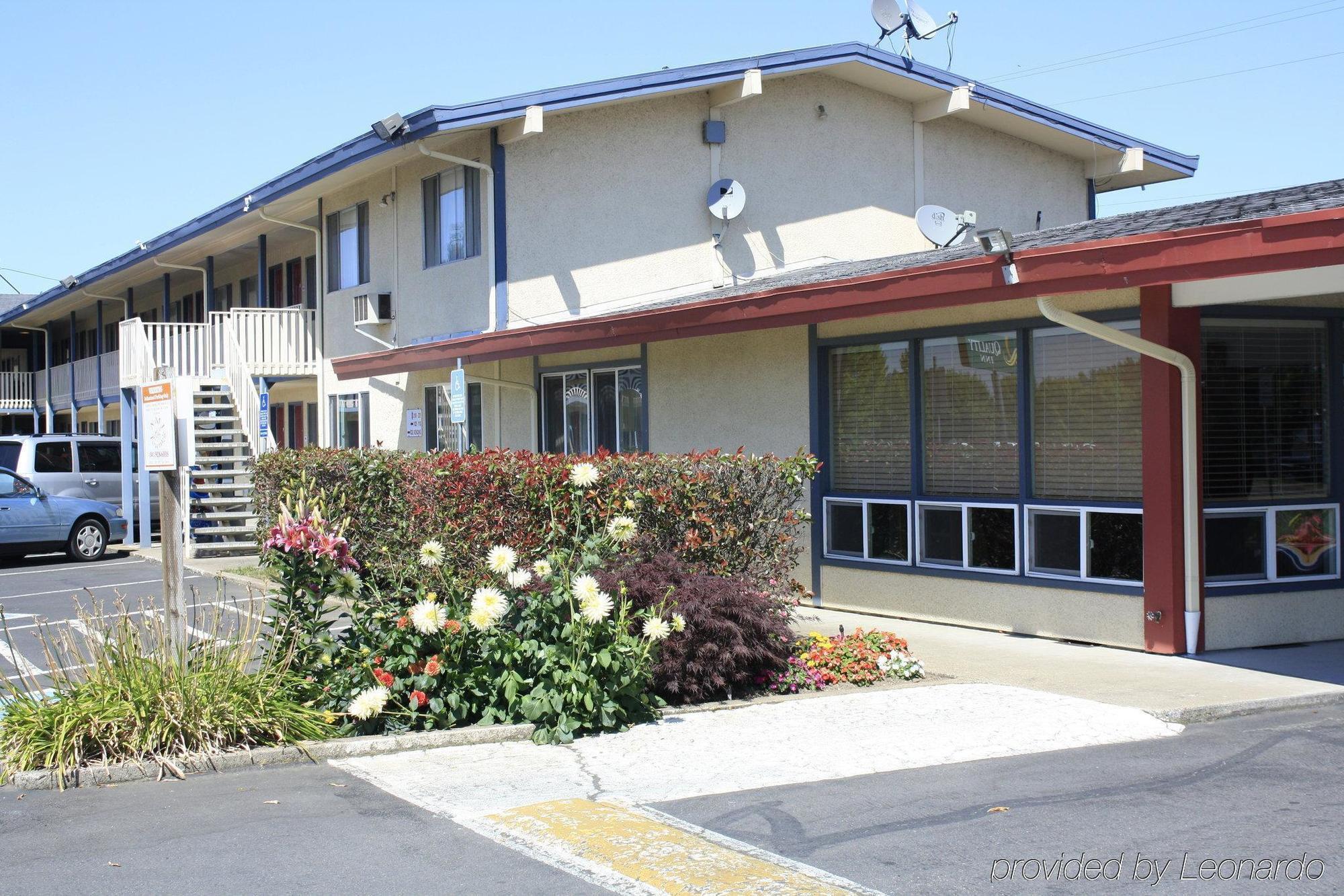 Rodeway Inn Albany Exterior foto